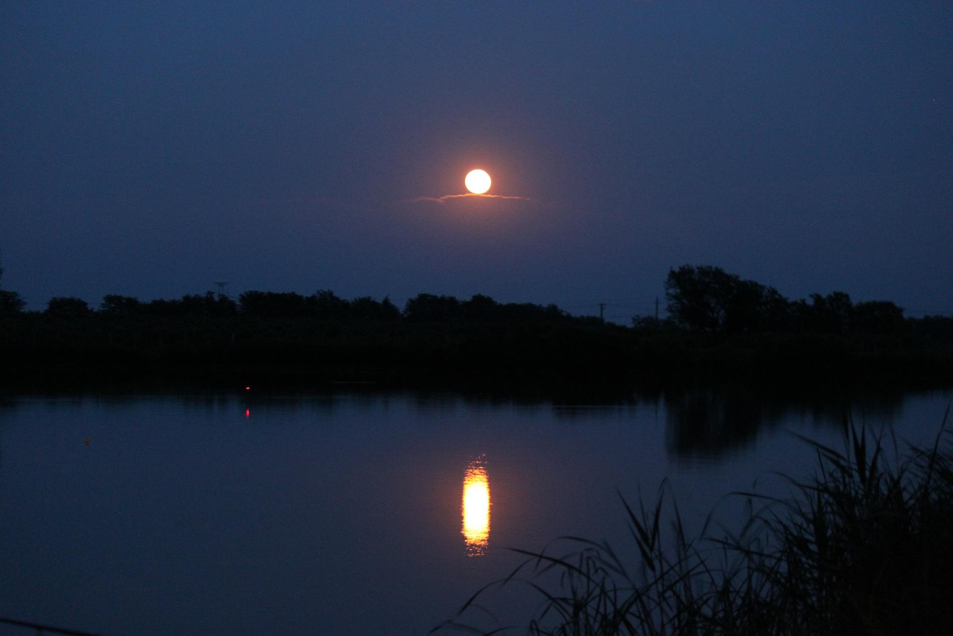 Mv2 Nagykallo - IMG_0532.JPG